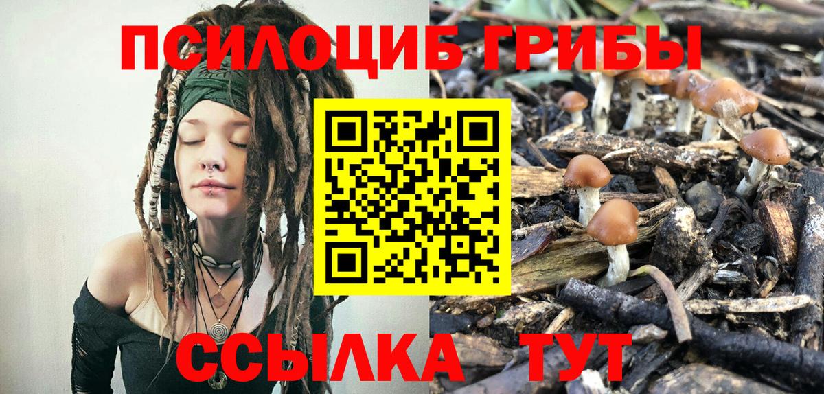 Галлюциногенные грибы Psilocybine cubensis Костомукша